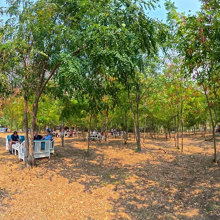 Ujevara E Drinit - Bishaj *