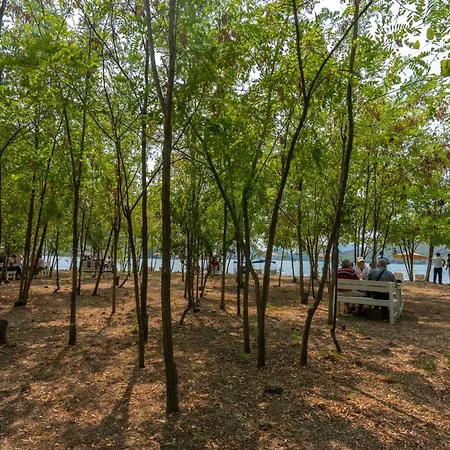 Ujevara E Drinit - Bishaj *