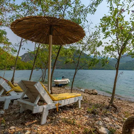 Ujevara E Drinit - Bishaj Shkodër