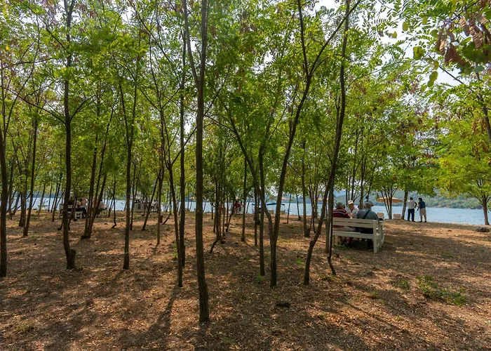 Ujevara E Drinit - Bishaj *