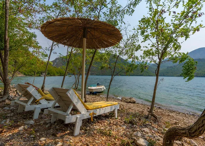 Ujevara E Drinit - Bishaj Shkodër