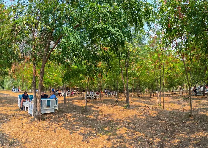 Ujevara E Drinit - Bishaj *